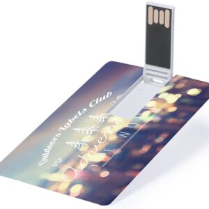 Kart Şeklinde Flash Bellek